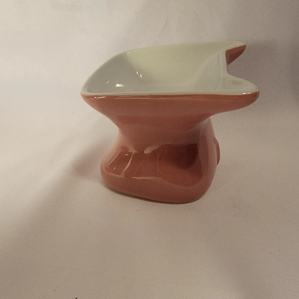 Elevated Pink Cat Dish by Whisker city